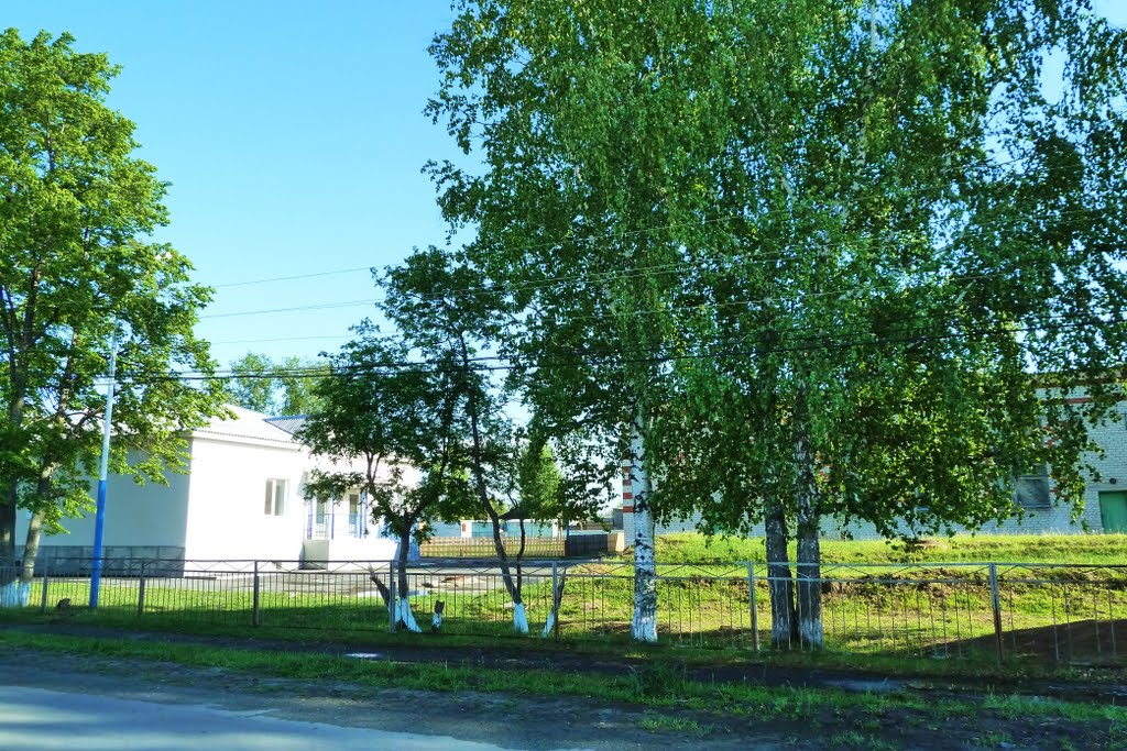 Таборы. Школа.