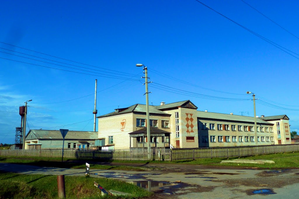 Таборы. Больничка.