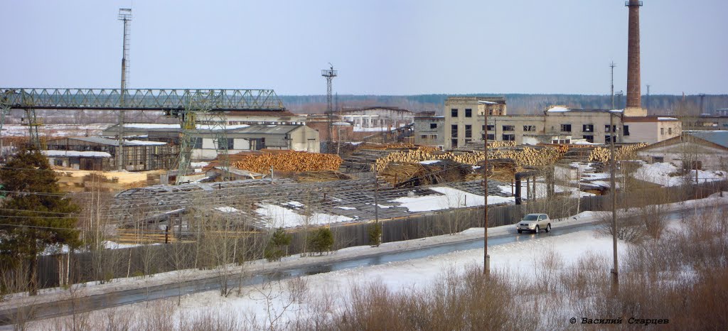 Древесина