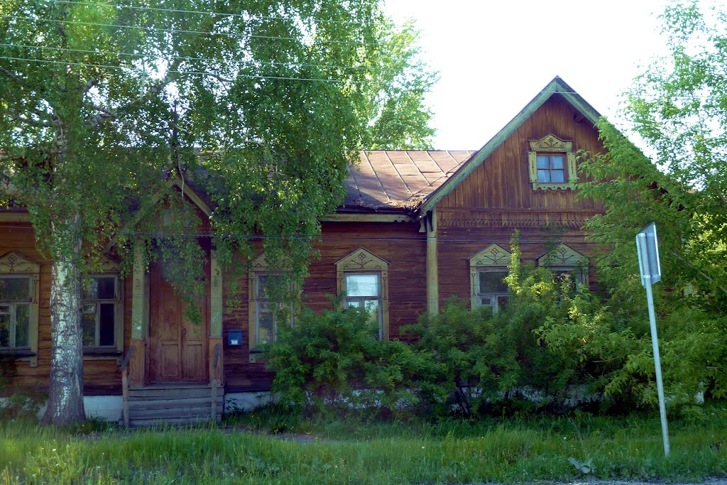 Туринск. Прикольный дом.