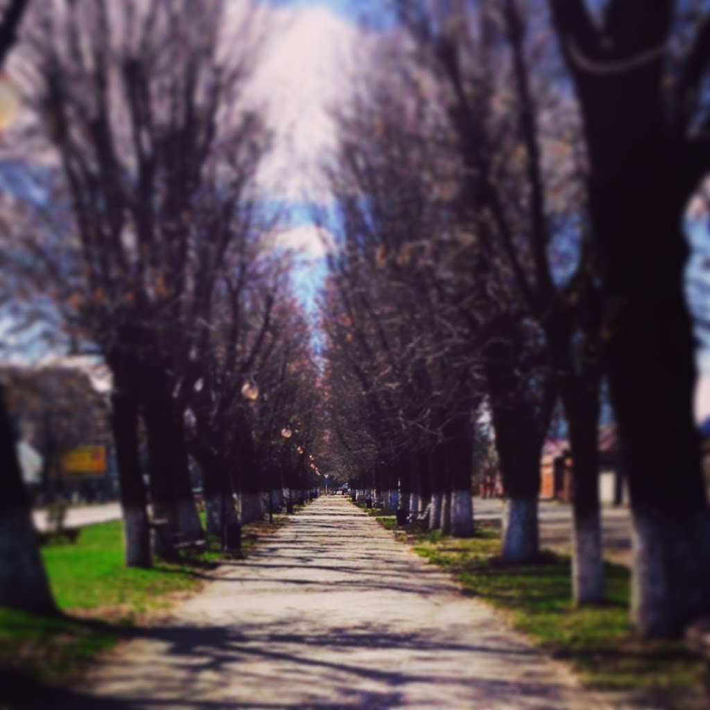 Аллея