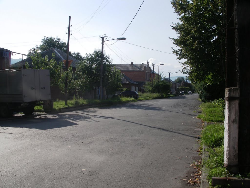 Ул. Гастелло. Владикавказ