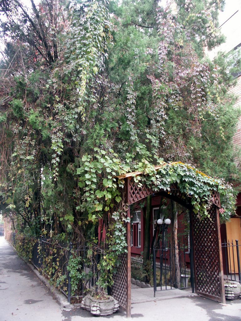 Vladikavkaz