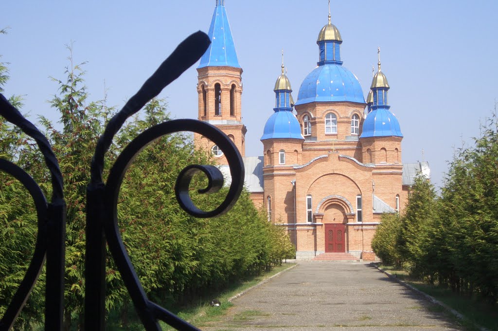 За оградой