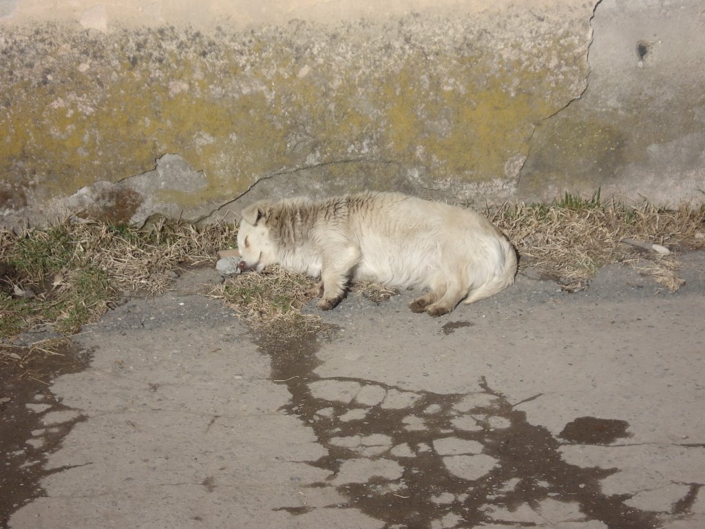 В Дигоре