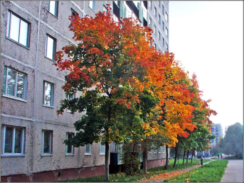 Осень...