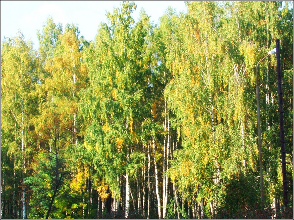 Осень на тропе здоровья