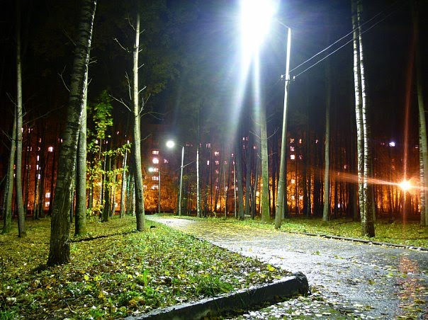 Парк