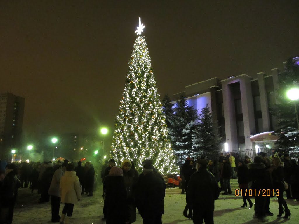 Новый 2013 год!