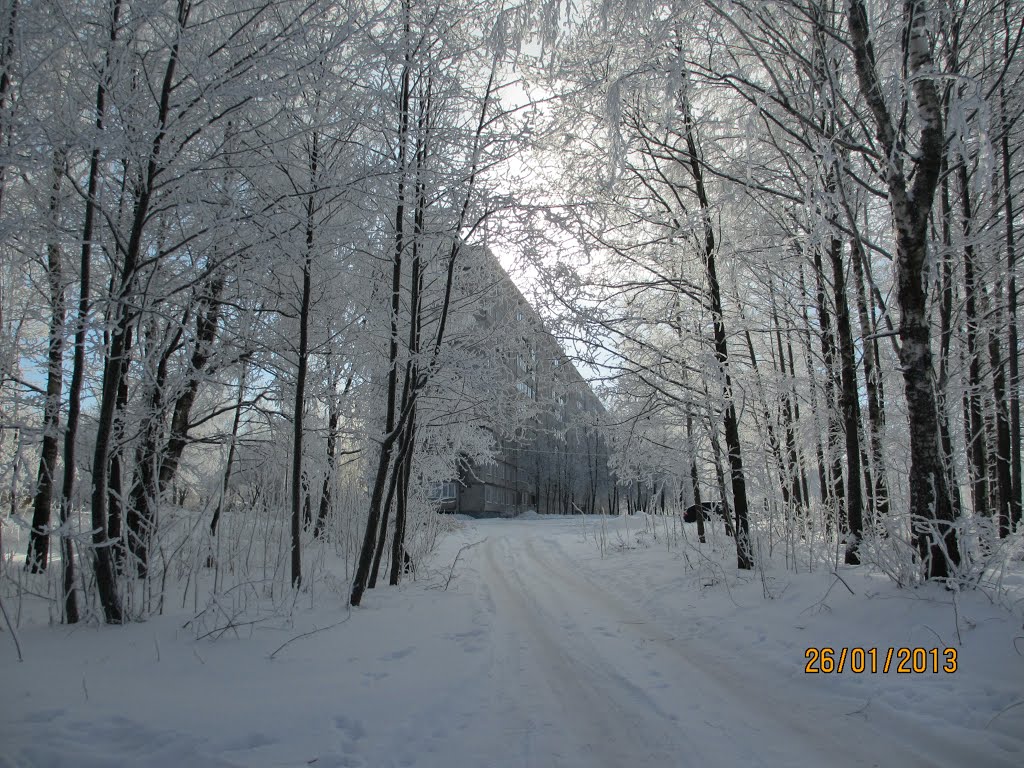 Десногорск зимой