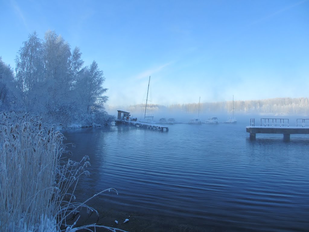 январь 2013