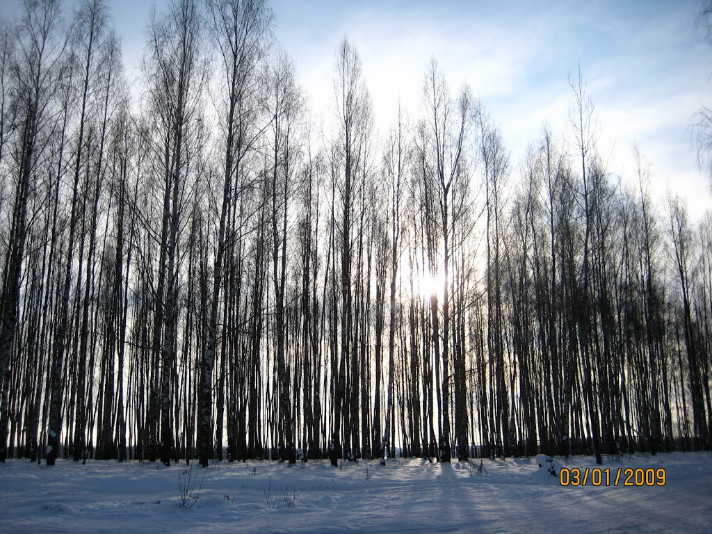 Десногорск