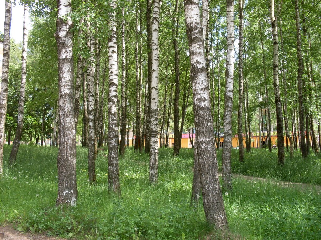 парк им.Тараса Бульбы