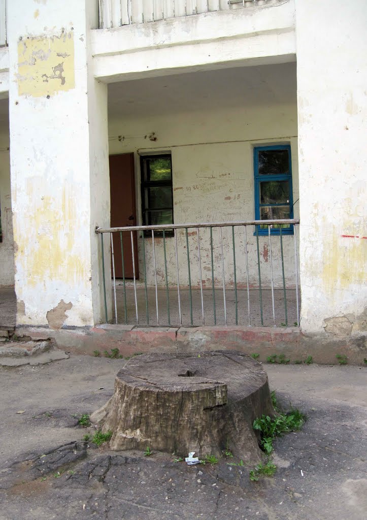 HOSTEL ENTRANCE - вход в общагу