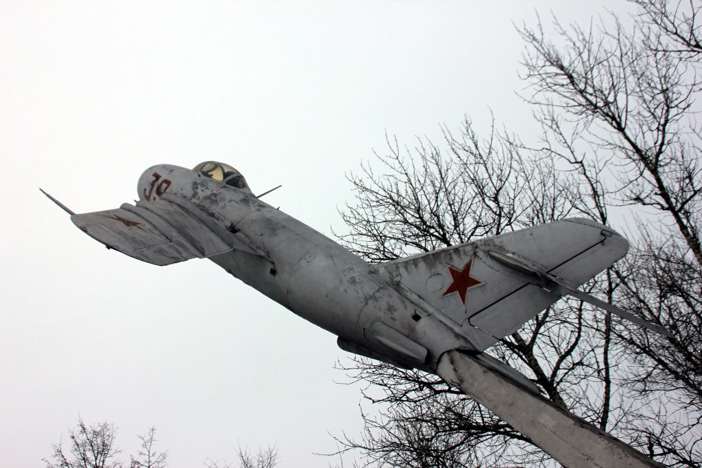 Самолёт Светланы Савицкой