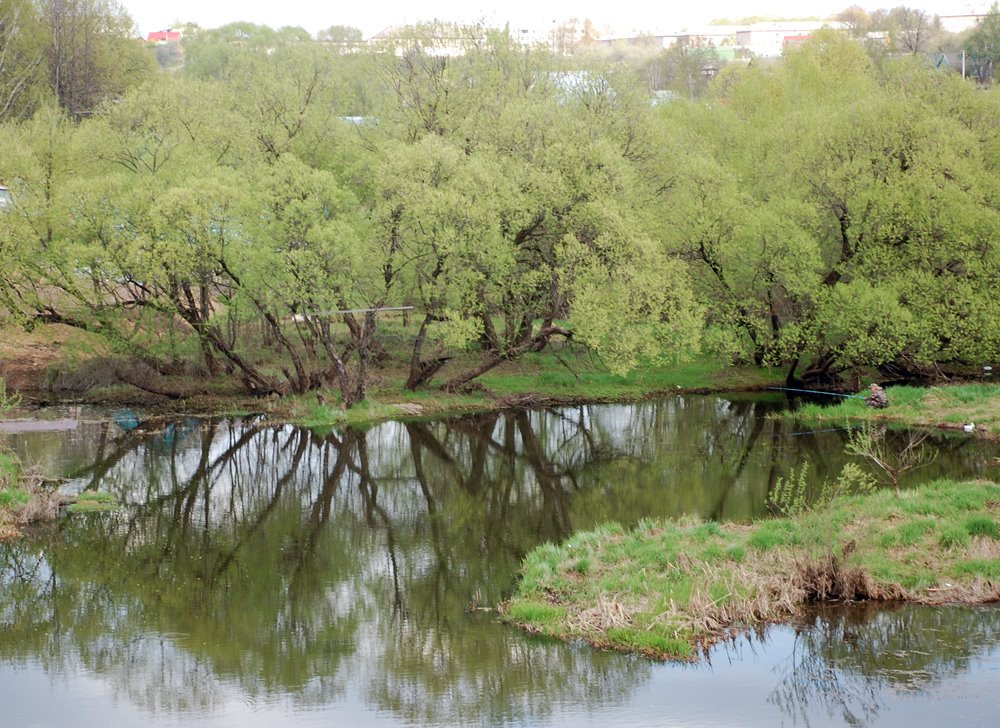 Вязьма
