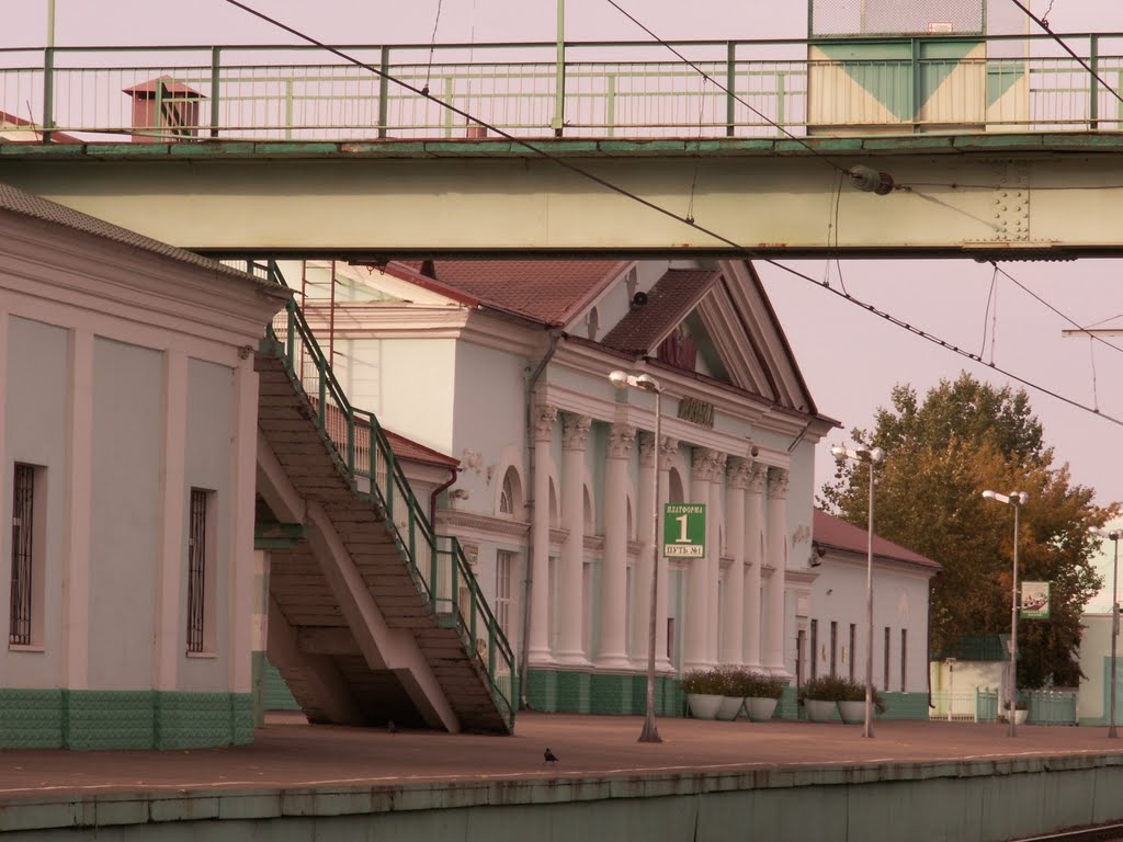 Пешеходный мост и перрон вокзала...