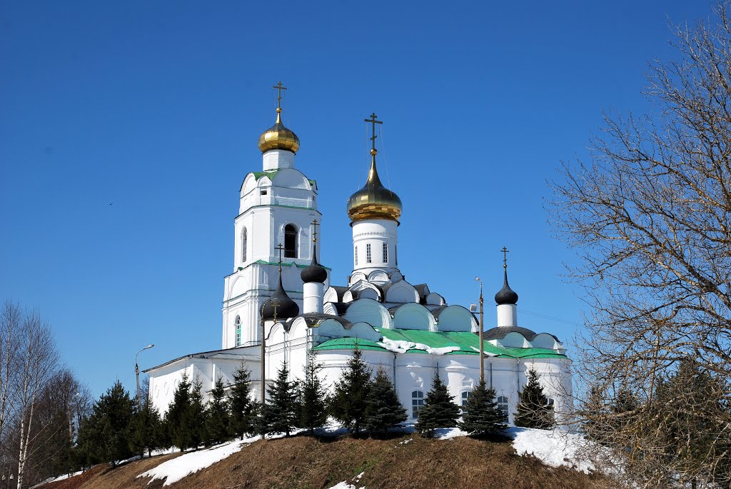 Вязьма. Свято-Троицкий кафедральный собор. Vyazma. Holy Trinity Cathedral.