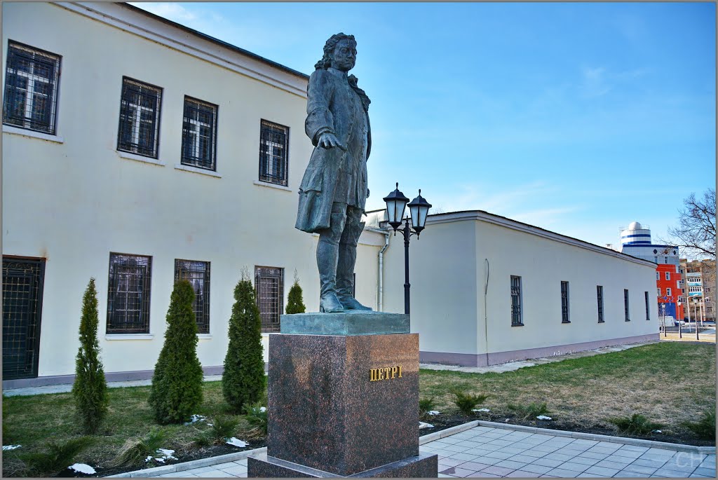 Гагарин. Пётр I