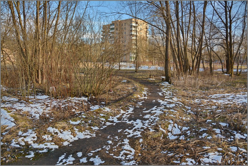 Гагарин. Тропинка в парке
