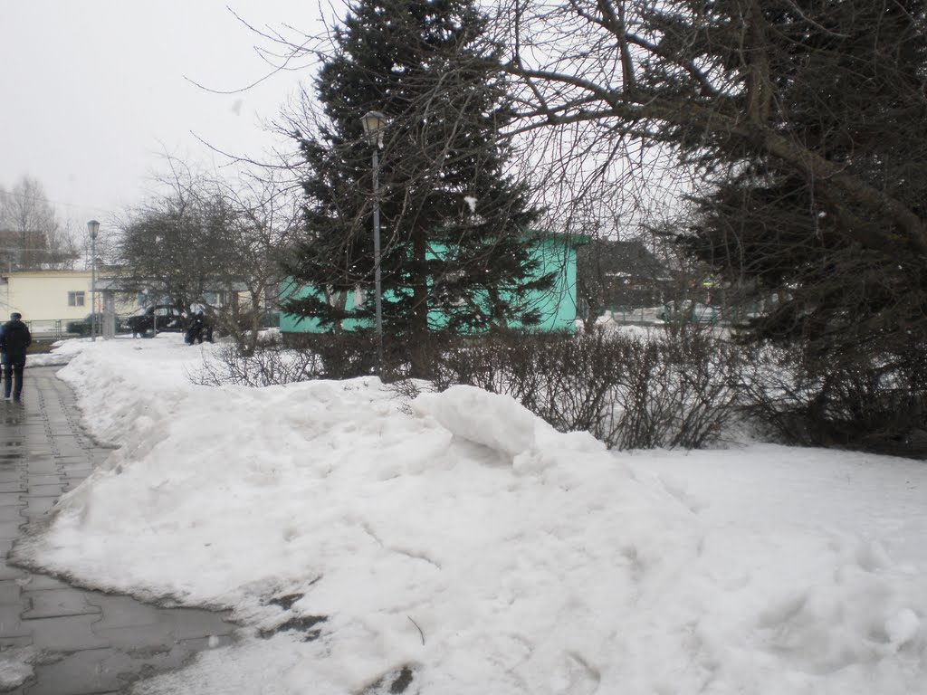 г. Гагарин