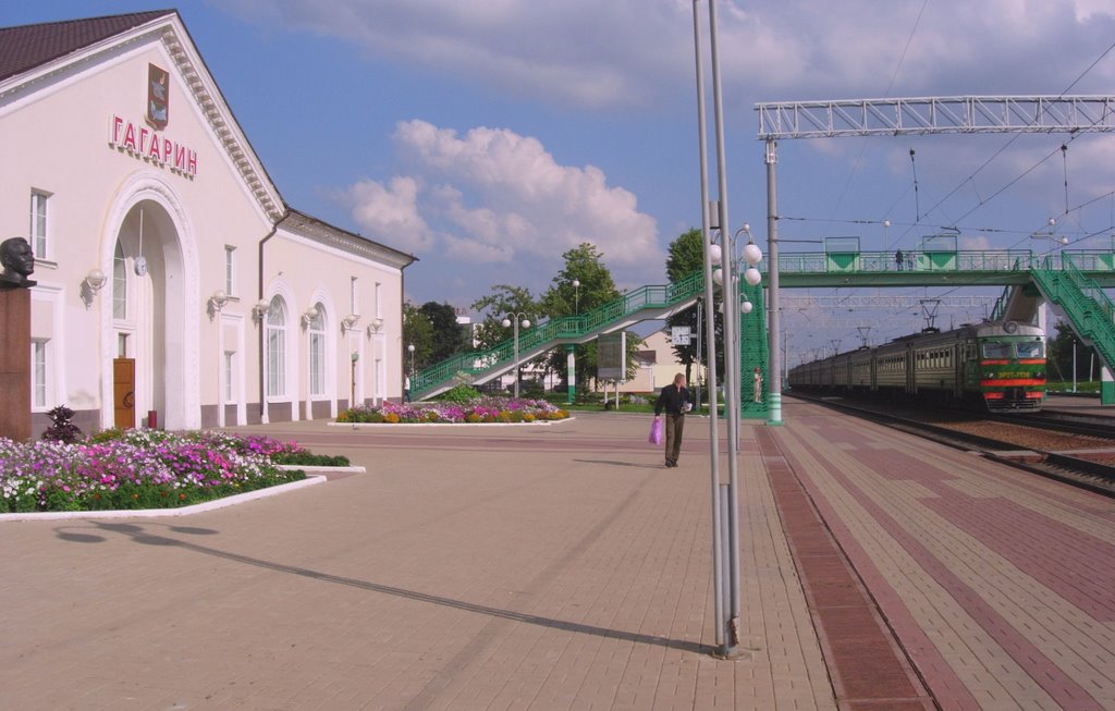 перрон ст.Гагарин - Gagarin station