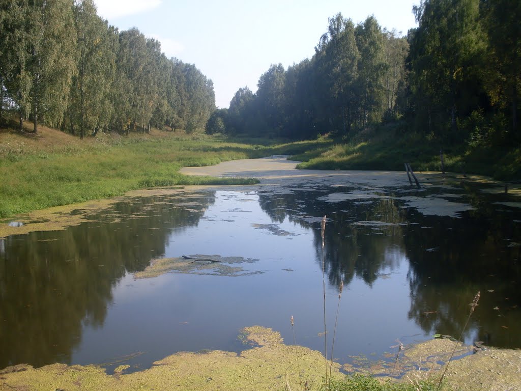 Крашнево