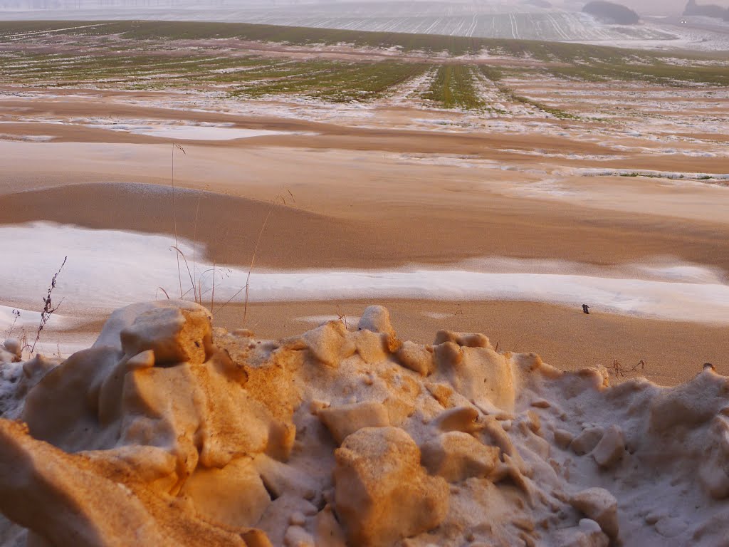 ❂◡❂ DUST ❂◡❂ BELARUS ❂◡❂