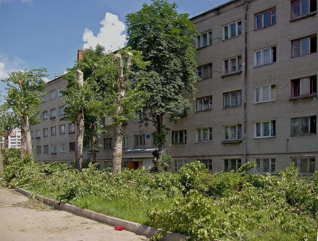 Родная общага