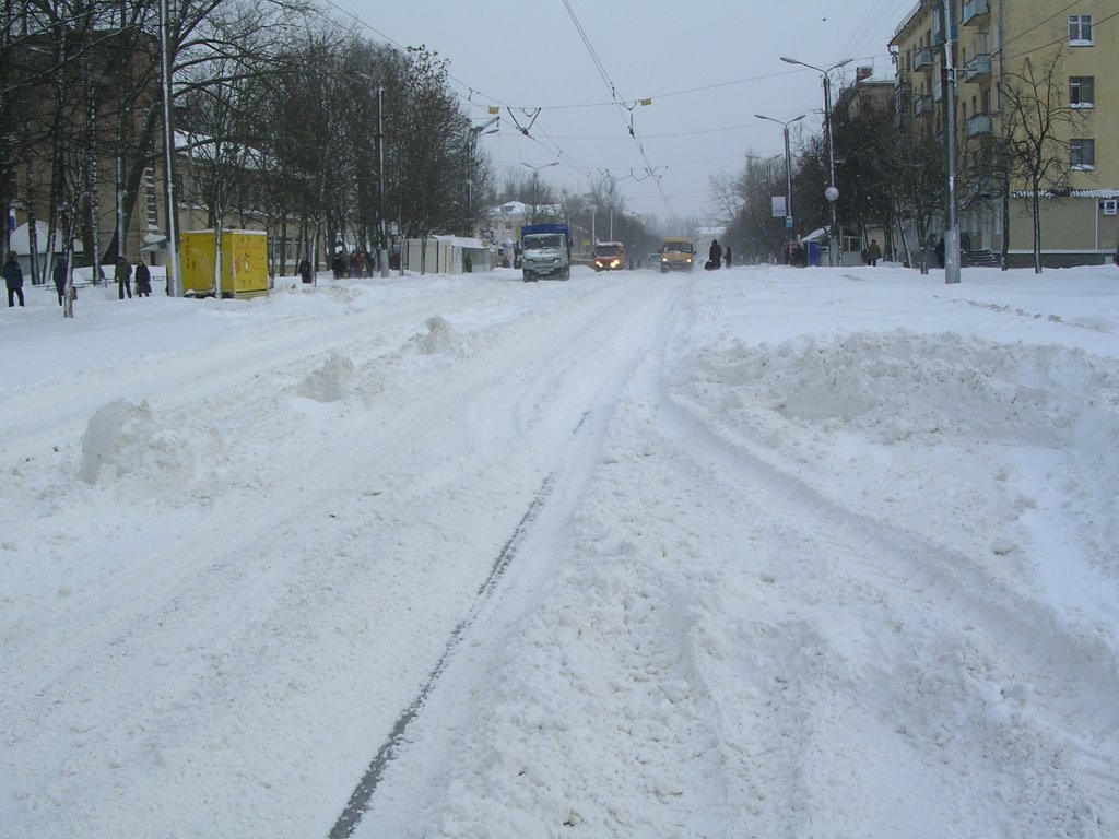 Nikolaeva str