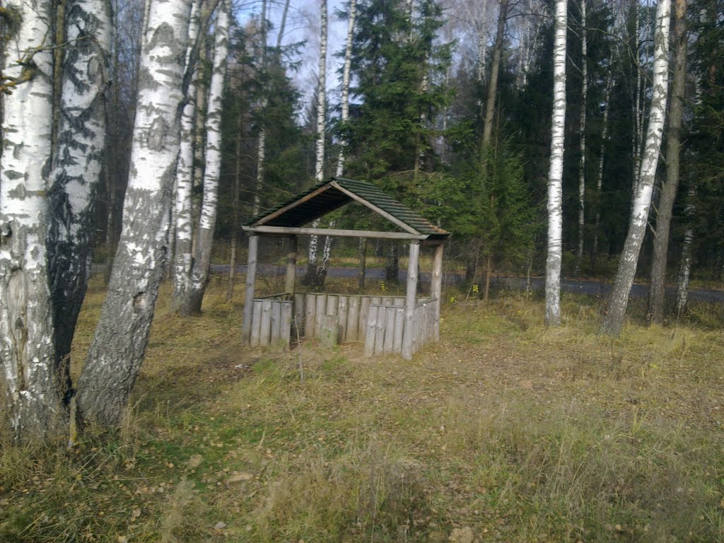 На Минск
