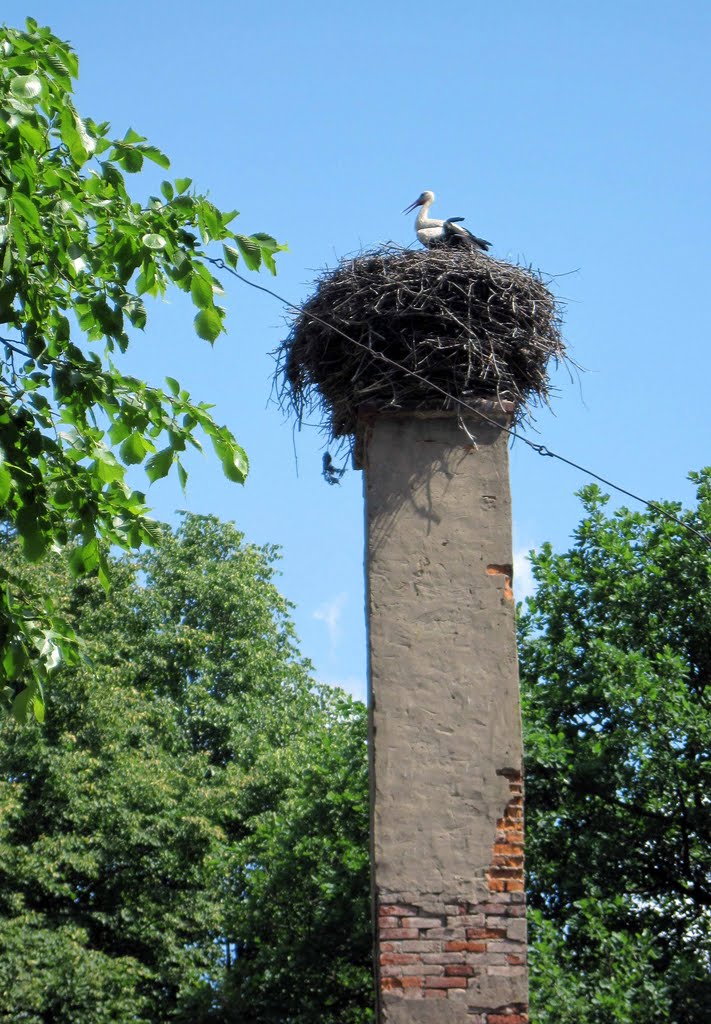 STORK - аист