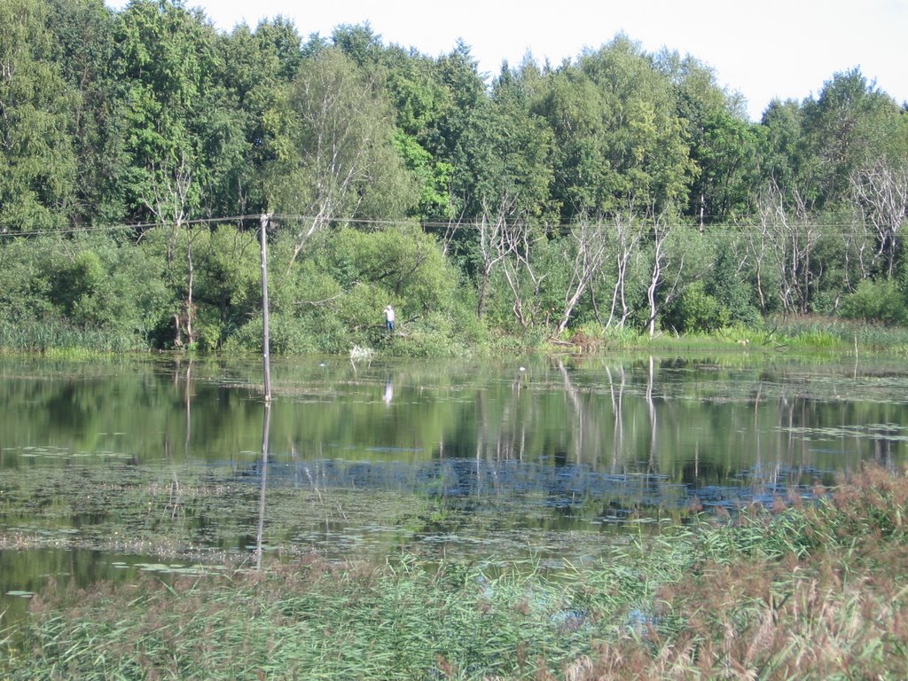 Река Десна