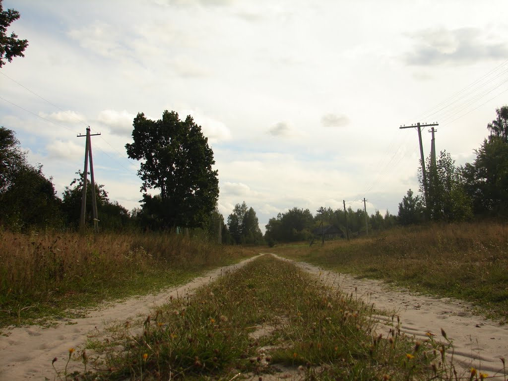 Сосонки, дорога, август