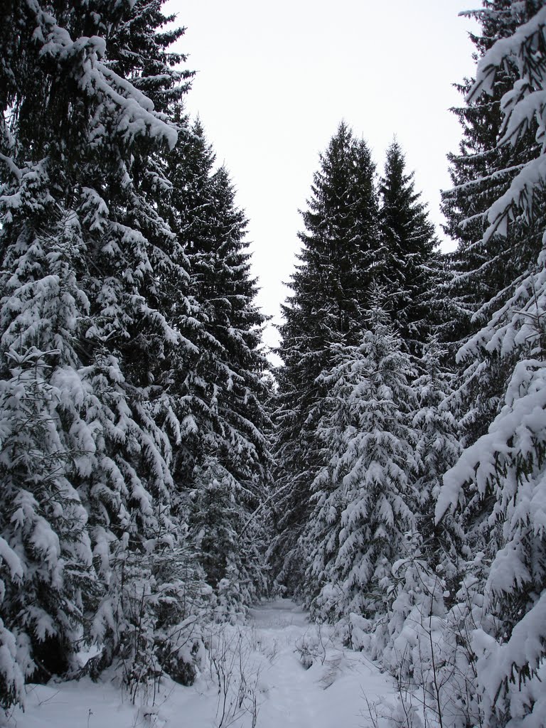 Yershichi