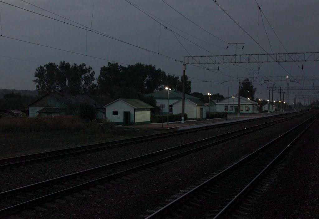 Станция Кардымово. Railway station Kardymovo.