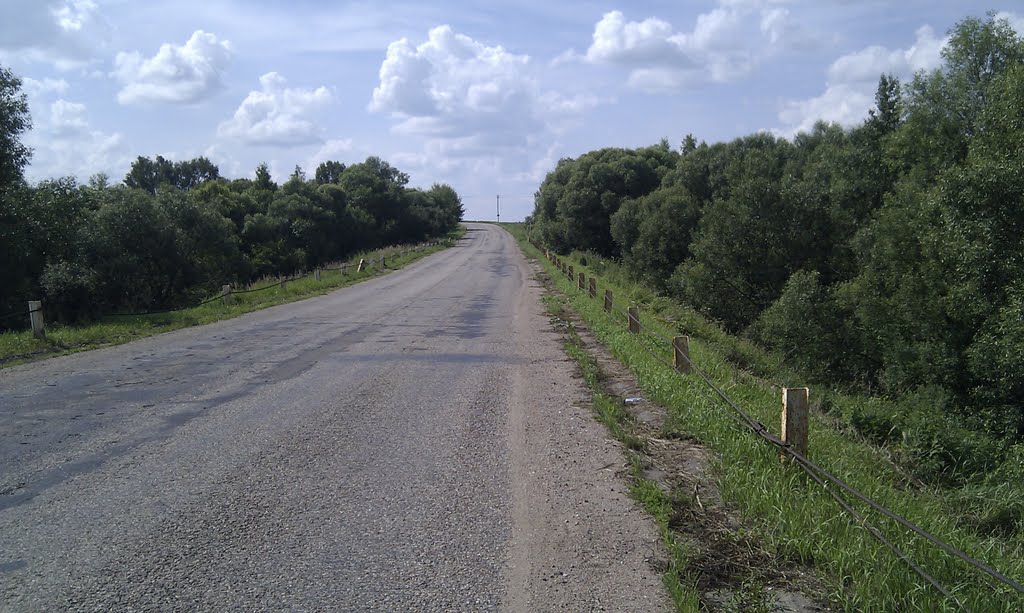 дорога возле д. Проверженка