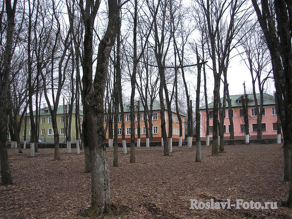 В сквере осенью.