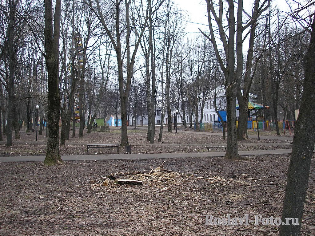 В городском парке.