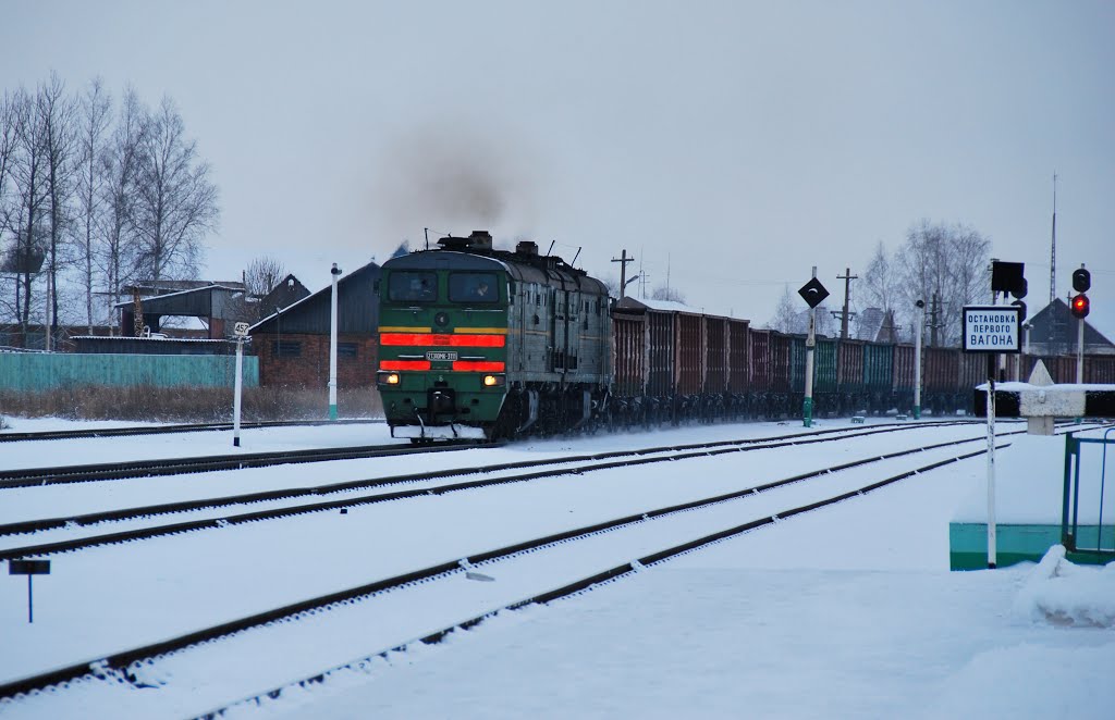 Станция Рудня