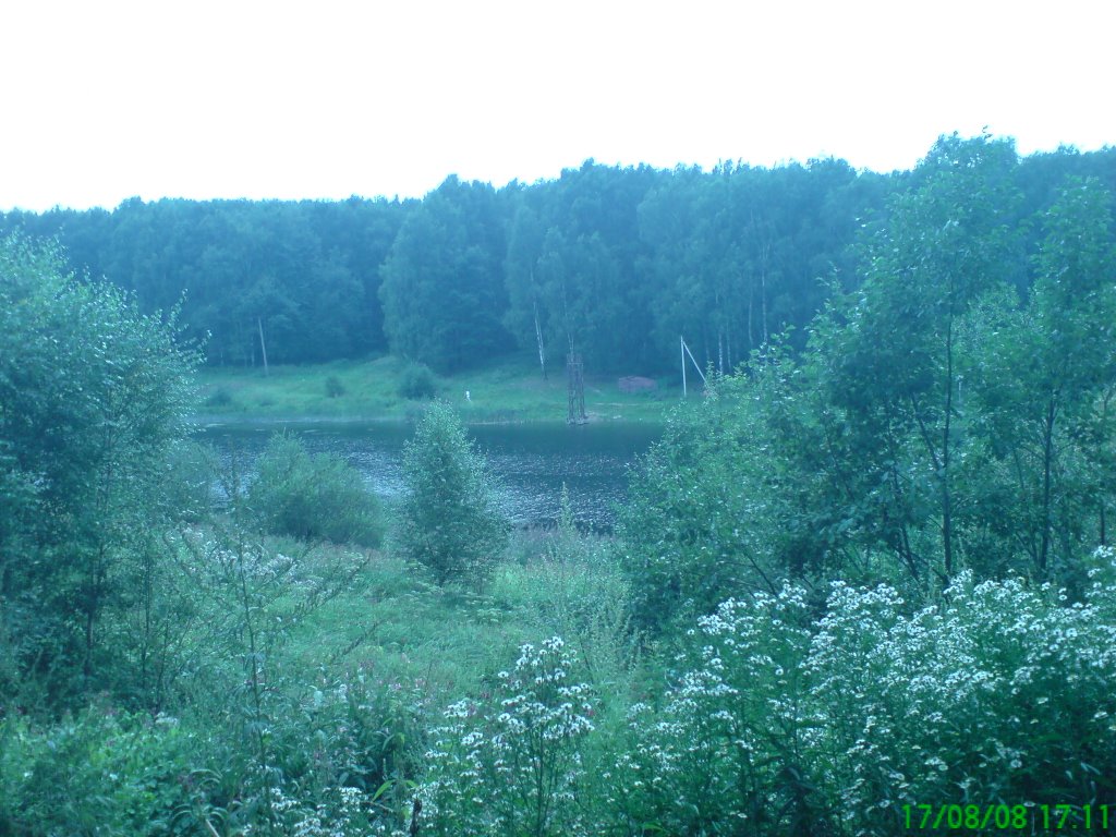 У озера.