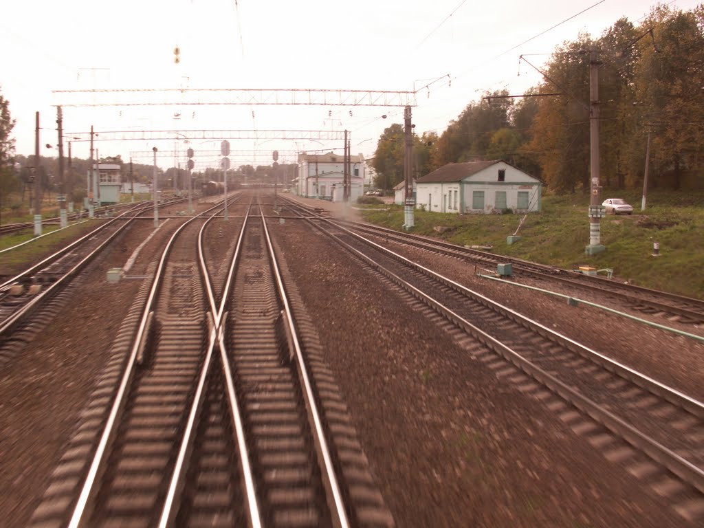 Safonovo