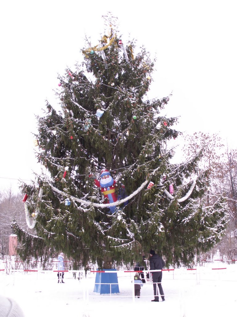 Новогодняя елка на центральной площади города...