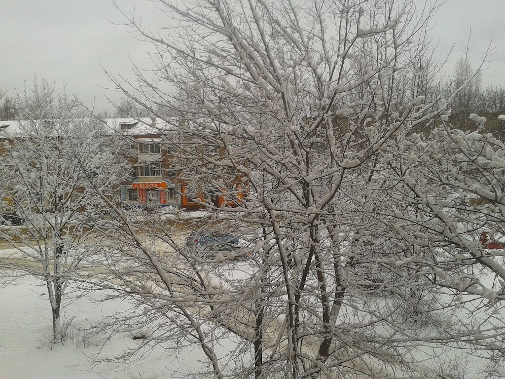 5 апреля 2012