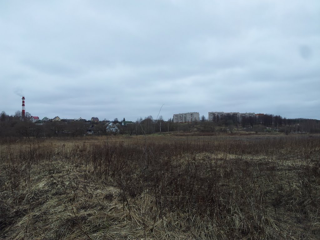 Пойма р. Вопец