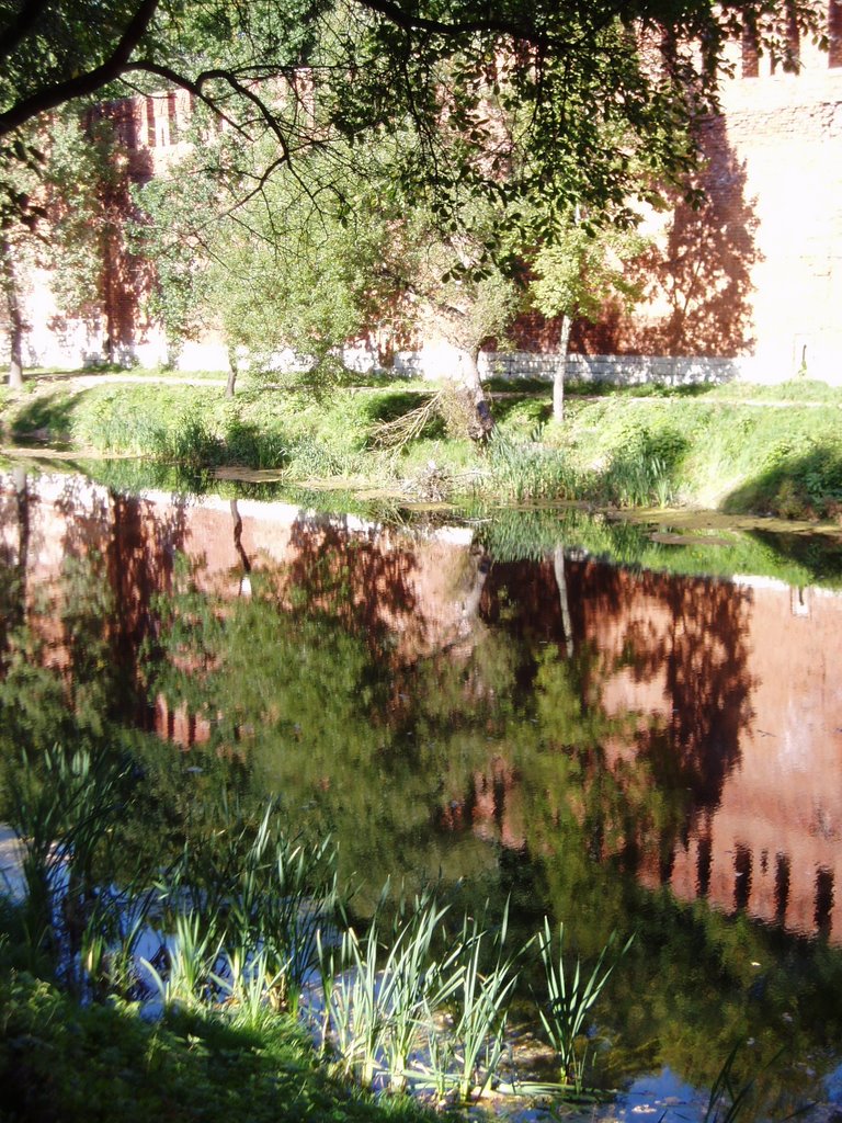Mirror-view pool