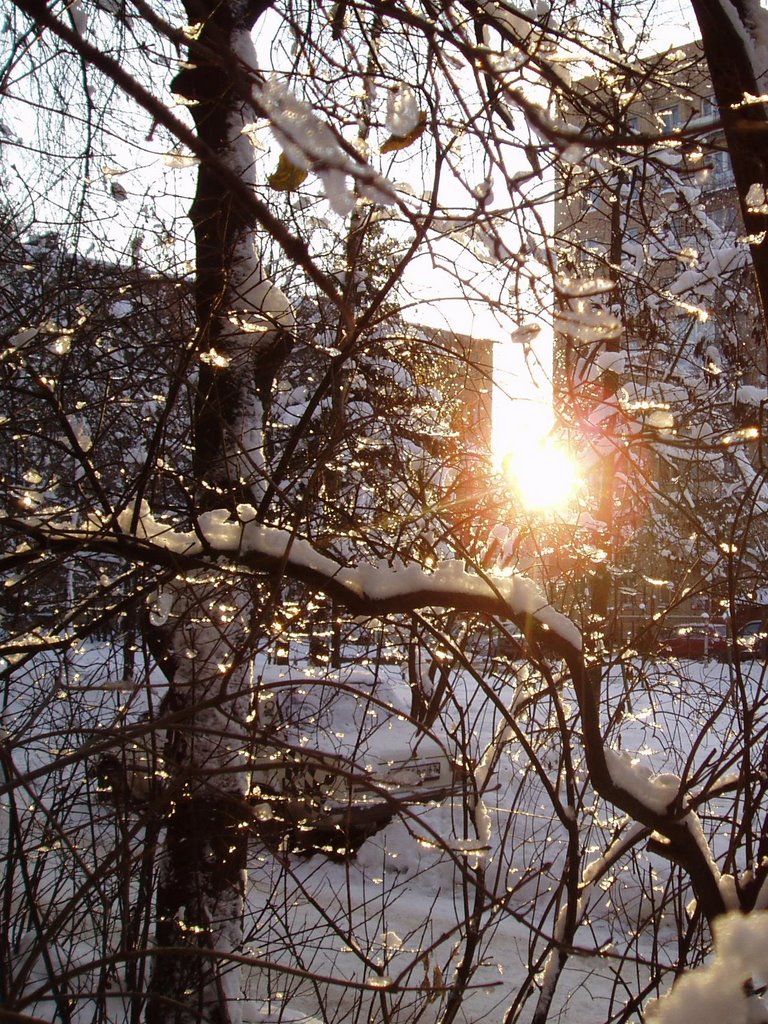 Let me see the sun