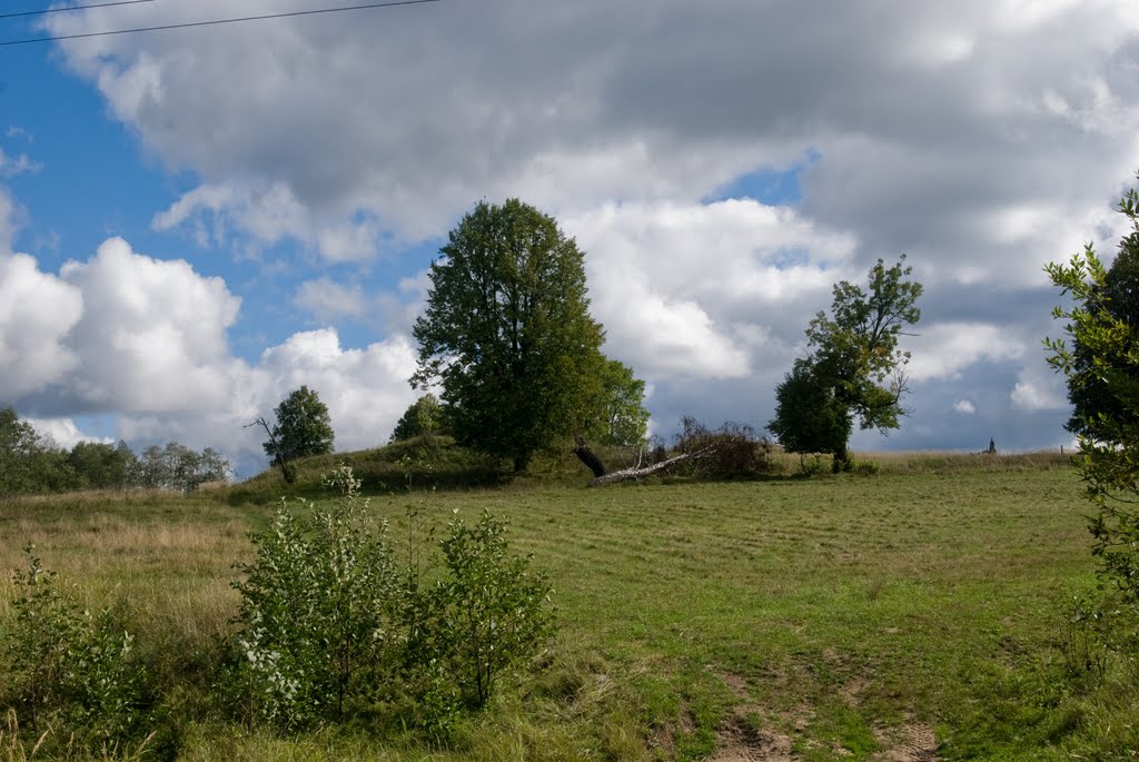 Горка в д.Вознесенье