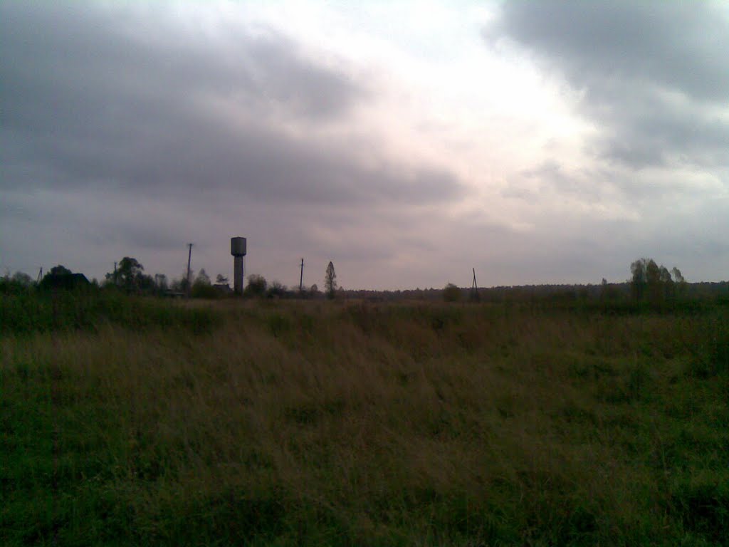 д.Данильево