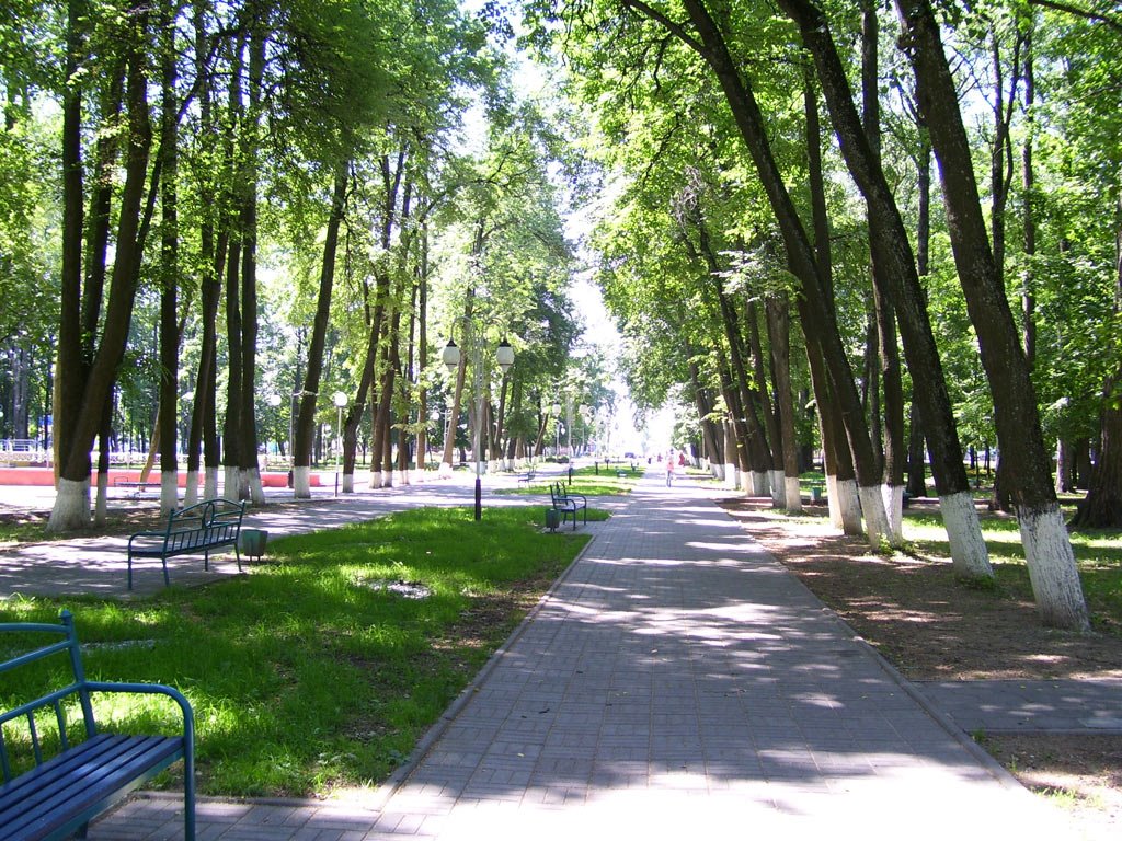 Центральный парк